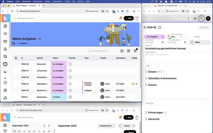 Screenshot des ganzen Bildschirms mit mehreren Browserfenstern, bei denen verschiedene Bereiche aus C6 geöffnet sind.