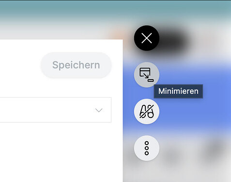 Minimieren-Button rechts von der Detailansicht.
